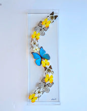 Load image into Gallery viewer, Framed Butterflies-Mounted Butterflies- Preserved Butterflies 10x30