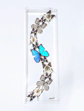 Load image into Gallery viewer, Real framed butterflies preserved in acrylic display case