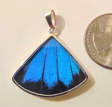 Load image into Gallery viewer, Butterfly wing jewelry, real butterfly, butterfly wing pendant, butterfly wing earrings real butterfly gifts, jewelry with butterfly wings