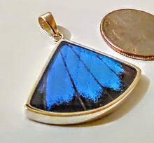 Load image into Gallery viewer, Butterfly wing jewelry, real butterfly, butterfly wing pendant, butterfly wing earrings real butterfly gifts, jewelry with butterfly wings