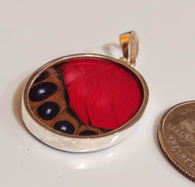 Load image into Gallery viewer, Butterfly wing jewelry, real butterfly, butterfly wing pendant, butterfly wing earrings real butterfly gifts, jewelry with butterfly wings