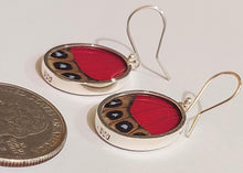 Load image into Gallery viewer, Butterfly earrings, real butterfly wing jewelry, real butterflies in jewelry, butterfly wings in jewelry, butterfly wing jewelry