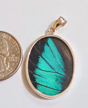 Load image into Gallery viewer, Butterfly wing jewelry, real butterfly, butterfly wing pendant, butterfly wing earrings real butterfly gifts, jewelry with butterfly wings