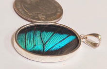 Load image into Gallery viewer, Butterfly wing jewelry, real butterfly, butterfly wing pendant, butterfly wing earrings real butterfly gifts, jewelry with butterfly wings
