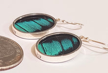 Load image into Gallery viewer, Butterfly earrings, real butterfly wing jewelry, real butterflies in jewelry, butterfly wings in jewelry, butterfly wing jewelry