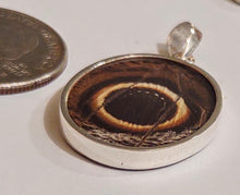 Load image into Gallery viewer, Butterfly wing jewelry, real butterfly, butterfly wing pendant, butterfly wing earrings real butterfly gifts, jewelry with butterfly wings