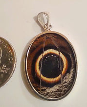 Load image into Gallery viewer, Butterfly wing jewelry, real butterfly, butterfly wing pendant, butterfly wing earrings real butterfly gifts, jewelry with butterfly wings