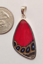 Load image into Gallery viewer, Butterfly wing jewelry, real butterfly, butterfly wing pendant, butterfly wing earrings real butterfly gifts, jewelry with butterfly wings