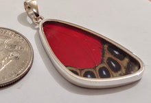 Load image into Gallery viewer, Butterfly wing jewelry, real butterfly, butterfly wing pendant, butterfly wing earrings real butterfly gifts, jewelry with butterfly wings