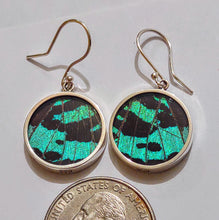Load image into Gallery viewer, Butterfly earrings, real butterfly wing jewelry, real butterflies in jewelry, butterfly wings in jewelry, butterfly wing jewelry