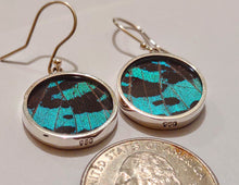 Load image into Gallery viewer, Butterfly earrings, real butterfly wing jewelry, real butterflies in jewelry, butterfly wings in jewelry, butterfly wing jewelry