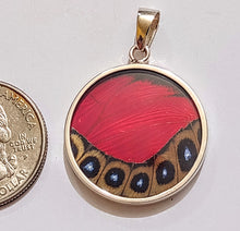 Load image into Gallery viewer, Butterfly wing jewelry, real butterfly, butterfly wing pendant, butterfly wing earrings real butterfly gifts, jewelry with butterfly wings