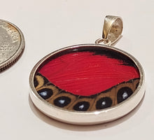 Load image into Gallery viewer, Butterfly wing jewelry, real butterfly, butterfly wing pendant, butterfly wing earrings real butterfly gifts, jewelry with butterfly wings