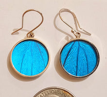 Load image into Gallery viewer, Butterfly earrings, real butterfly wing jewelry, real butterflies in jewelry, butterfly wings in jewelry, butterfly wing jewelry