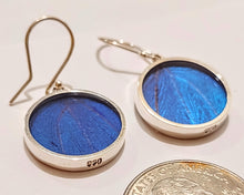 Load image into Gallery viewer, Butterfly earrings, real butterfly wing jewelry, real butterflies in jewelry, butterfly wings in jewelry, butterfly wing jewelry