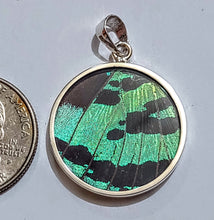 Load image into Gallery viewer, Butterfly wing jewelry, real butterfly, butterfly wing pendant, butterfly wing earrings real butterfly gifts, jewelry with butterfly wings