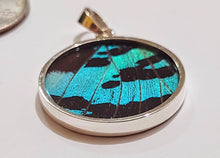 Load image into Gallery viewer, Butterfly wing jewelry, real butterfly, butterfly wing pendant, butterfly wing earrings real butterfly gifts, jewelry with butterfly wings