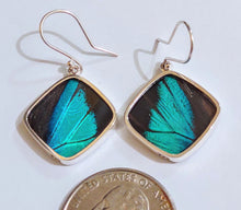 Load image into Gallery viewer, Butterfly earrings,  real butterfly wing jewelry, real butterflies in jewelry, butterfly wings in jewelry, butterfly wing jewelry
