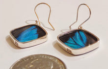 Load image into Gallery viewer, Butterfly earrings, real butterfly wing jewelry, real butterflies in jewelry, butterfly wings in jewelry, butterfly wing jewelry