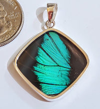 Load image into Gallery viewer, Butterfly wing jewelry, real butterfly, butterfly wing pendant, butterfly wing earrings real butterfly gifts, jewelry with butterfly wings