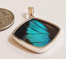 Load image into Gallery viewer, Butterfly wing jewelry, real butterfly, butterfly wing pendant, butterfly wing earrings real butterfly gifts, jewelry with butterfly wings