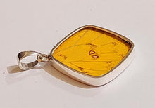 Load image into Gallery viewer, Butterfly wing jewelry, real butterfly, butterfly wing pendant, butterfly wing earrings real butterfly gifts, jewelry with butterfly wings