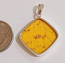 Load image into Gallery viewer, Butterfly wing jewelry, real butterfly, butterfly wing pendant, butterfly wing earrings real butterfly gifts, jewelry with butterfly wings
