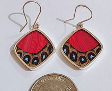 Load image into Gallery viewer, Butterfly earrings, real butterfly wing jewelry, real butterflies in jewelry, butterfly wings in jewelry, butterfly wing jewelry