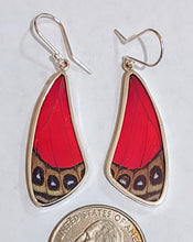 Load image into Gallery viewer, Butterfly earrings, real butterfly wing jewelry, real butterflies in jewelry, butterfly wings in jewelry, butterfly wing jewelry