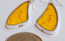 Load image into Gallery viewer, Butterfly earrings, real butterfly wing jewelry, real butterflies in jewelry, butterfly wings in jewelry, butterfly wing jewelry