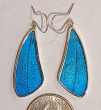 Load image into Gallery viewer, Butterfly earrings, real butterfly wing jewelry, real butterflies in jewelry, butterfly wings in jewelry, butterfly wing jewelry