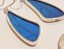 Load image into Gallery viewer, Butterfly earrings, real butterfly wing jewelry, real butterflies in jewelry, butterfly wings in jewelry, butterfly wing jewelry