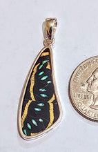 Load image into Gallery viewer, Butterfly wing jewelry, real butterfly, butterfly wing pendant, butterfly wing earrings real butterfly gifts, jewelry with butterfly wings
