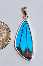 Load image into Gallery viewer, Butterfly wing jewelry, real butterfly, butterfly wing pendant, butterfly wing earrings real butterfly gifts, jewelry with butterfly wings