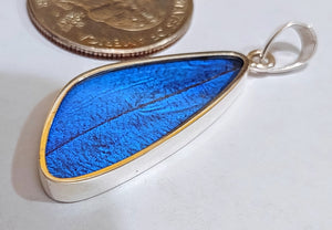 Butterfly wing jewelry, real butterfly, butterfly wing pendant, butterfly wing earrings real butterfly gifts, jewelry with butterfly wings