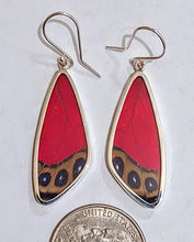 Load image into Gallery viewer, Butterfly earrings, real butterfly wing jewelry, real butterflies in jewelry, butterfly wings in jewelry, butterfly wing jewelry