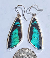 Load image into Gallery viewer, Butterfly earrings, real butterfly wing jewelry, real butterflies in jewelry, butterfly wings in jewelry, butterfly wing jewelry