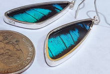 Load image into Gallery viewer, Butterfly earrings, real butterfly wing jewelry, real butterflies in jewelry, butterfly wings in jewelry, butterfly wing jewelry