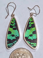 Load image into Gallery viewer, Butterfly earrings, real butterfly wing jewelry, real butterflies in jewelry, butterfly wings in jewelry, butterfly wing jewelry