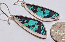 Load image into Gallery viewer, Butterfly earrings, real butterfly wing jewelry, real butterflies in jewelry, butterfly wings in jewelry, butterfly wing jewelry