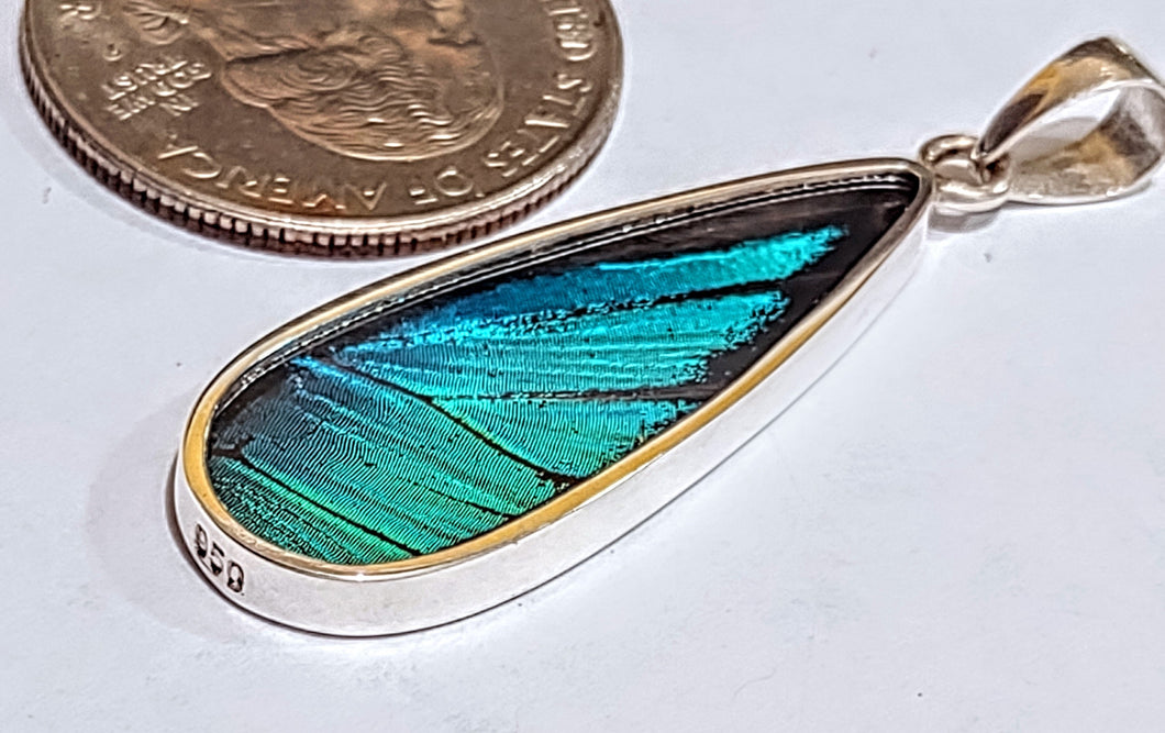Butterfly wing jewelry, real butterfly, butterfly wing pendant, butterfly wing earrings real butterfly gifts, jewelry with butterfly wings