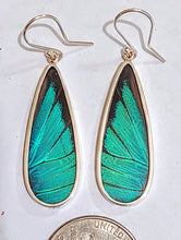 Load image into Gallery viewer, Butterfly earrings,  real butterfly wing jewelry, real butterflies in jewelry, butterfly wings in jewelry, butterfly wing jewelry
