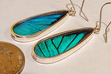 Load image into Gallery viewer, Butterfly earrings, real butterfly wing jewelry, real butterflies in jewelry, butterfly wings in jewelry, butterfly wing jewelry