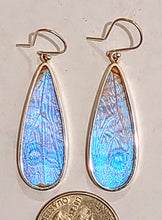 Load image into Gallery viewer, Butterfly earrings, real butterfly wing jewelry, real butterflies in jewelry, butterfly wings in jewelry, butterfly wing jewelry