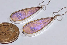 Load image into Gallery viewer, Butterfly earrings, real butterfly wing jewelry, real butterflies in jewelry, butterfly wings in jewelry, butterfly wing jewelry