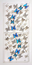 Load image into Gallery viewer, Framed Butterflies-Mounted Butterflies-Preserved Butterflies