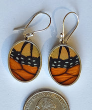 Load image into Gallery viewer, Butterfly earrings, real butterfly wing jewelry, real butterflies in jewelry, butterfly wings in jewelry, butterfly wing jewelry