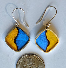 Load image into Gallery viewer, Butterfly wing jewelry, real butterfly, butterfly wing pendant, butterfly wing earrings real butterfly gifts, jewelry with butterfly wings