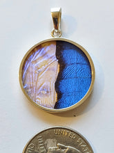 Load image into Gallery viewer, Butterfly wing jewelry, real butterfly, butterfly wing pendant, butterfly wing earrings real butterfly gifts, jewelry with butterfly wings