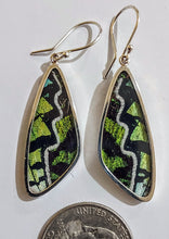 Load image into Gallery viewer, Butterfly earrings, real butterfly wing jewelry, real butterflies in jewelry, butterfly wings in jewelry, butterfly wing jewelry